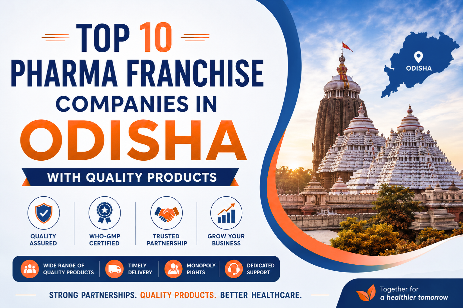 Top 10 Pharma Franchise Companies In Odisha